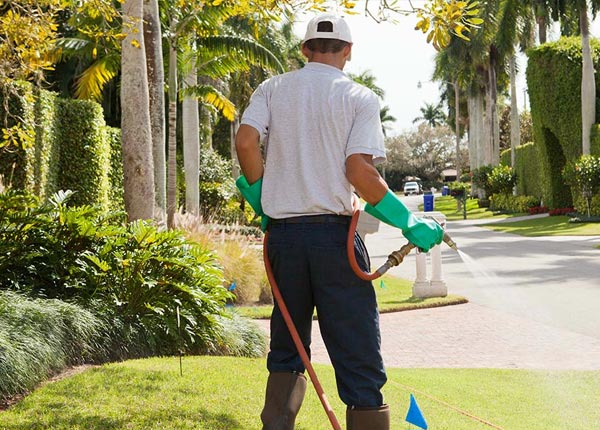 About Thorndale PA Pest Control Pros